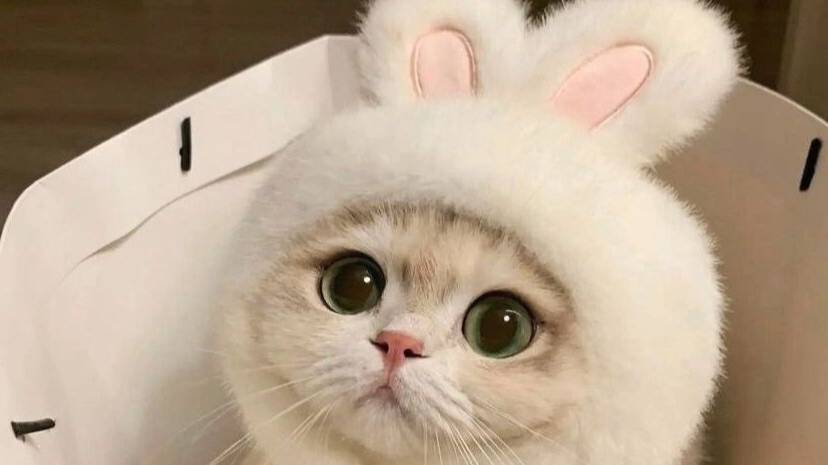 я хочу быть твоею