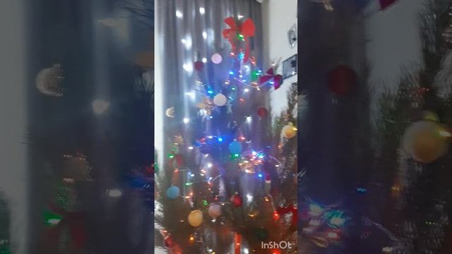 InShot_20241214_161957905.mp4