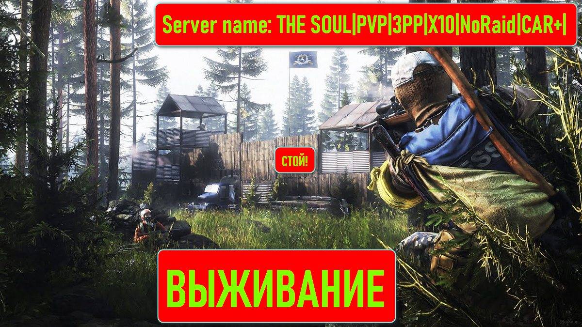 ВЫЖИВАНИЕ НА СЕРВЕРЕ THE SOUL