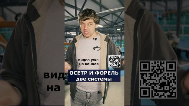 ОСЕТР и ФОРЕЛЬ. Две системы.