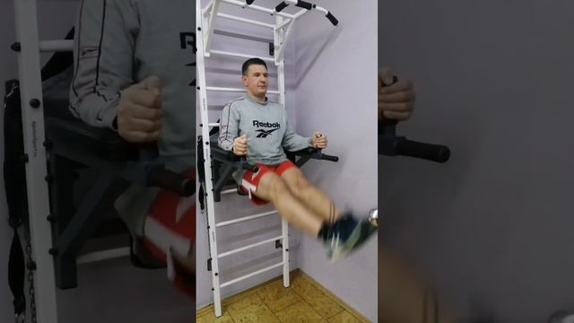 Упражнения на пресс на Шведской стенке "Гладиатор" с турником и брусьями ШС-002 ApolonSport