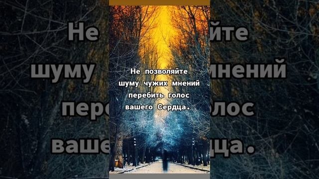 Мудрые слова .mp4