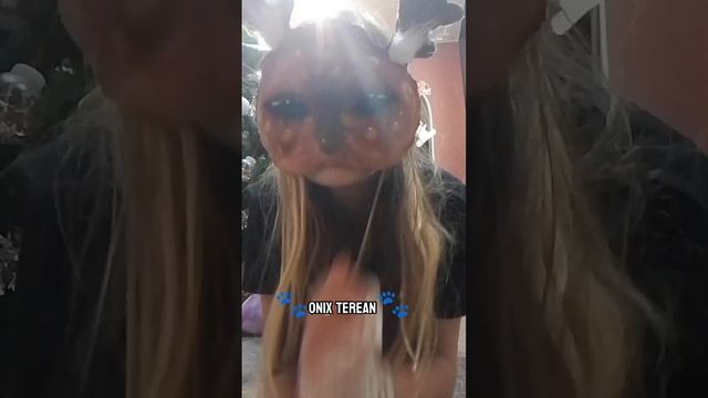 хвостик потерялся #квд