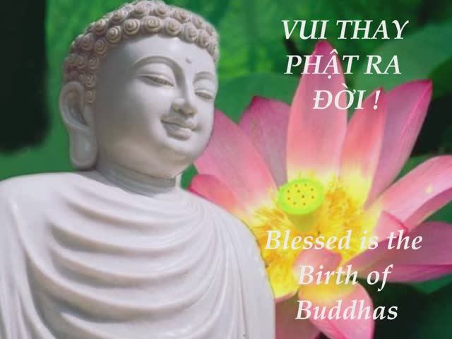 Vui thay Phật ra đời -  Blessed is the birth of Buddhas   Đức Tuấn  - AC