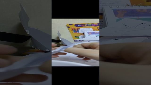 1000004064.mp4