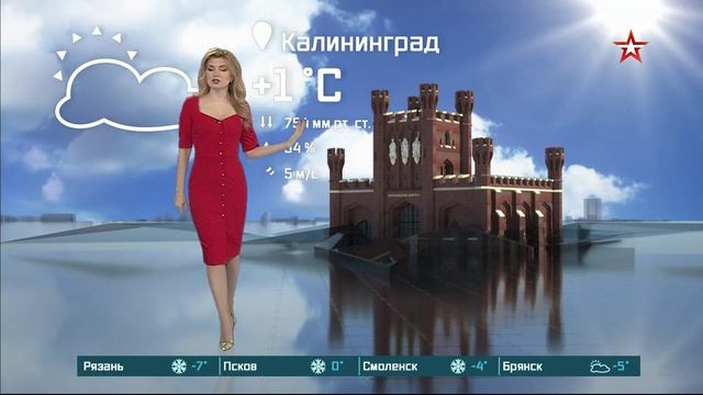 Ольга Паршина Эфир от 13.12.2024