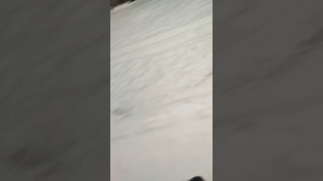 зайка