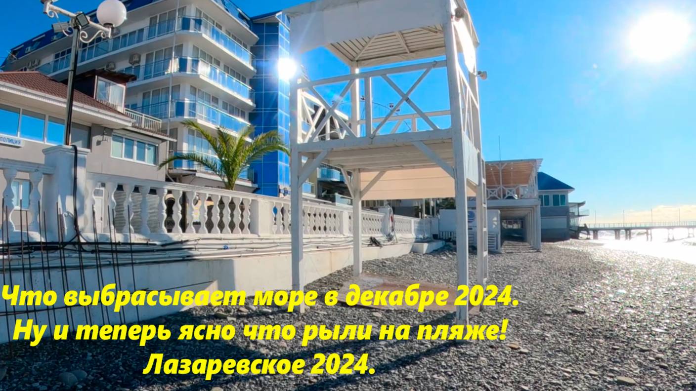 Что выбрасывает море в декабре 2024!  Ну и теперь понятно ,что за траншеи рыли на пляже!