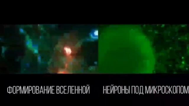 Исследование_ наша Вселенная похожа на большой мозг