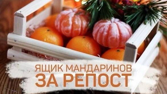 Открываю ящики с мандаринами