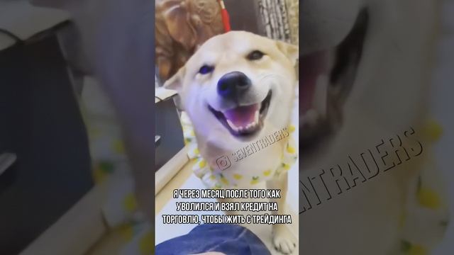 Я через месяц после того как уволился и взял кредит на торговлю, чтобы жить с трейдинга