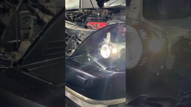 Bi led вместо штатного ксенона