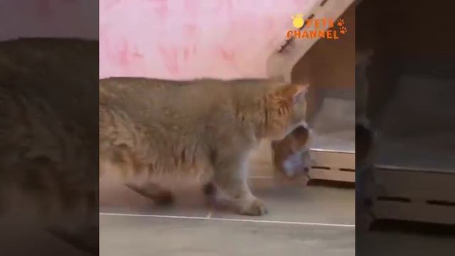 1000013712.mp4