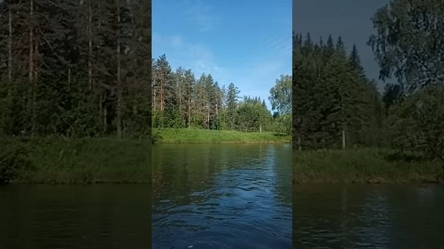 Мана 2023г
