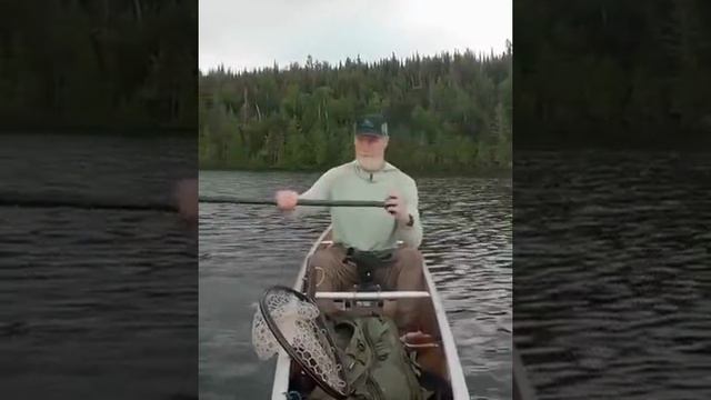 1000023083.mp4