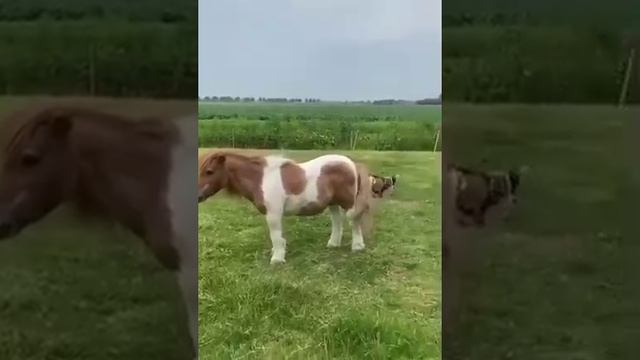 1000023846.mp4