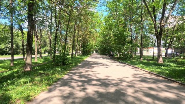 На велосипеде по городу #11