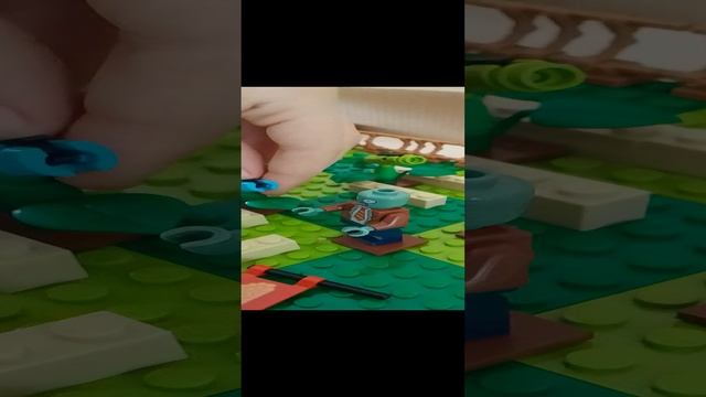 VID_20241214_142709.mp4