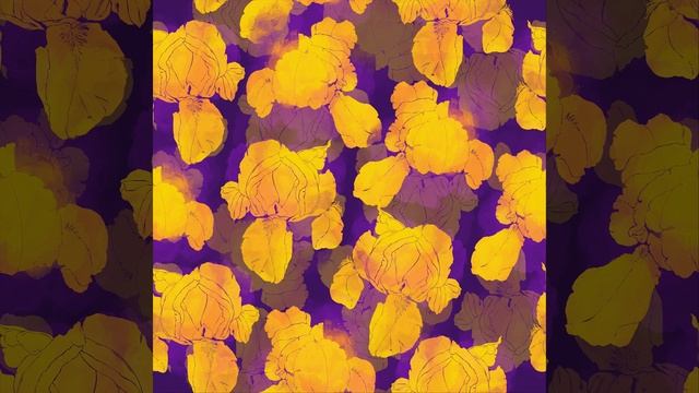 Fractal Wednesdays