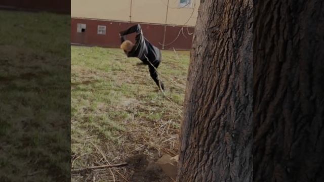 показал кондиции
