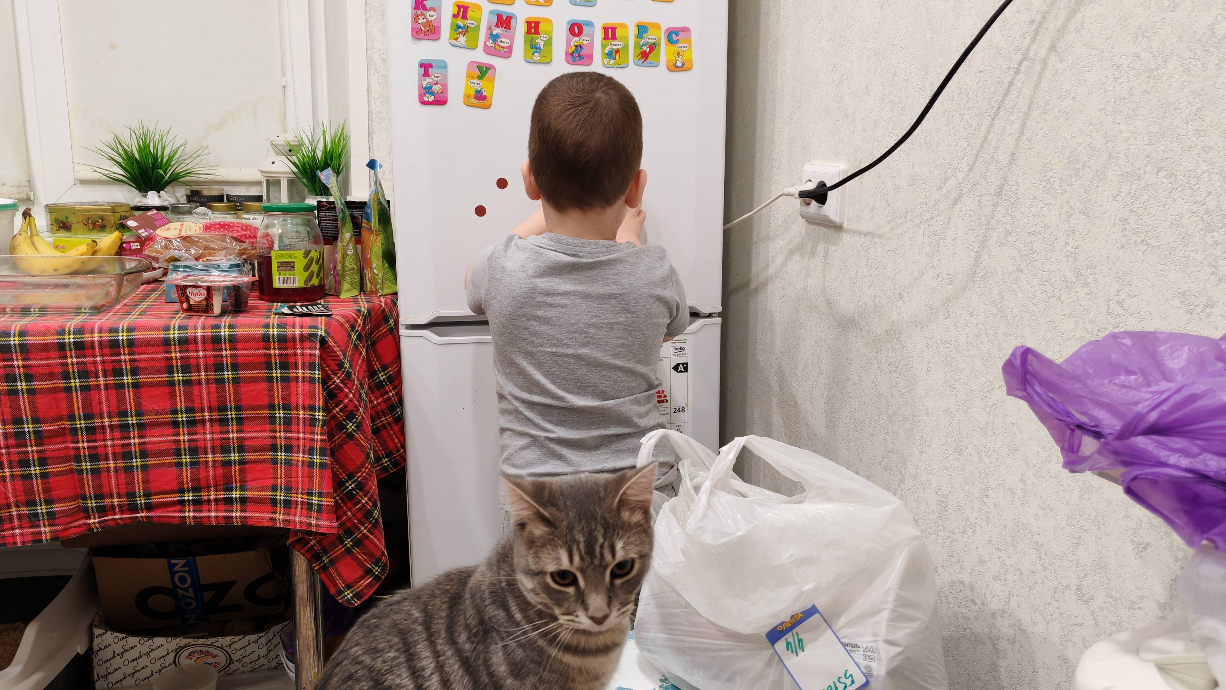 изучаем и повторяем буквы русского алфавита, магнитные карточки с буквами русского алфавита