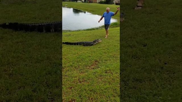 ловля крокодилов на спиннинг.mp4