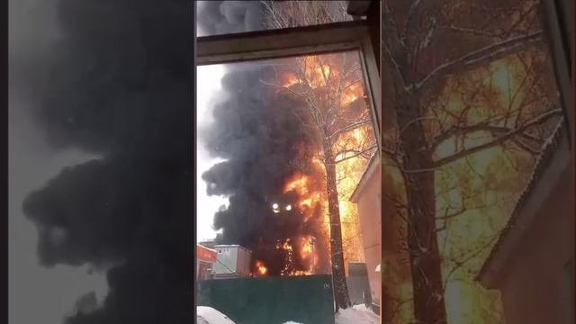 Еще кадры из подмосковного Фрязино