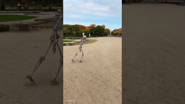Skeleton Dancing