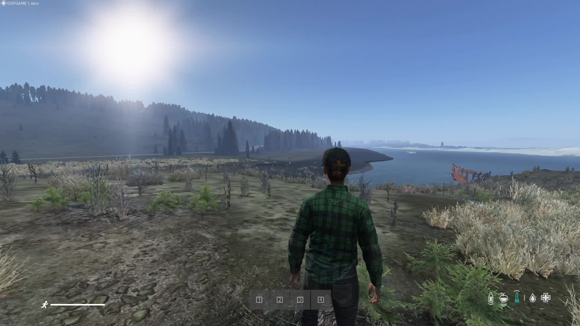 DAYZ  выживание в суровом Намальске   на сервере  SILENT NORT.