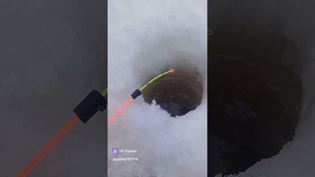 1000014700.mp4