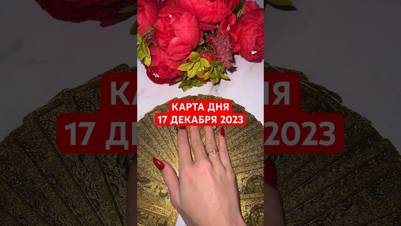 КАРТА ДНЯ 17 ДЕКАБРЯ 2023 #декабрь2023 #гадание #таро #гаданиеонлайн #гороскоп #картадня #астрология