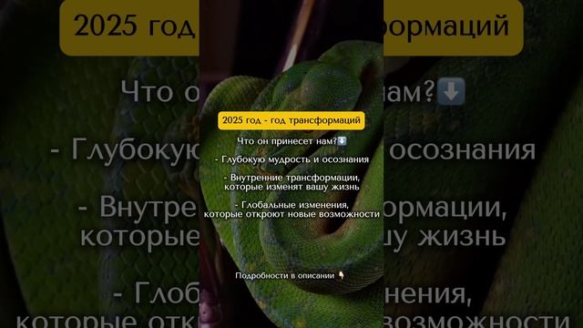 2025 год-год трансформаций