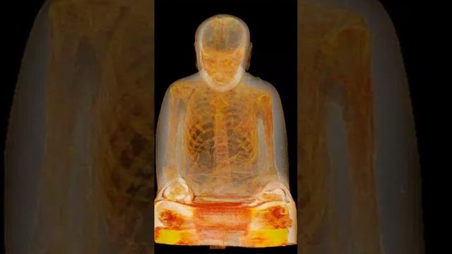 Глубокая медитация.#рекомендации