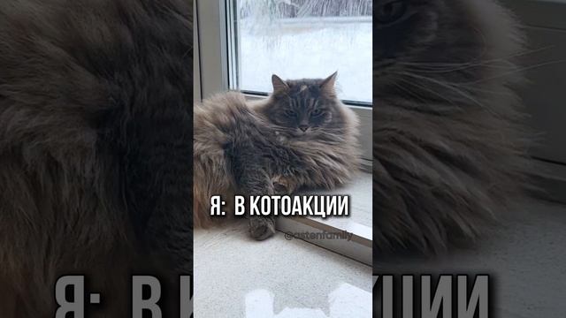 Самые лучшие инвестиции💰