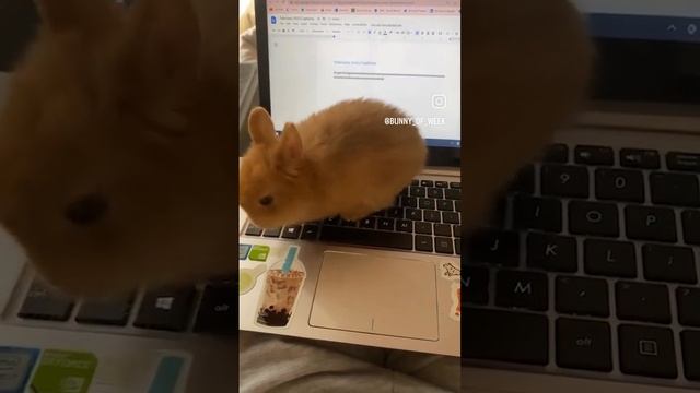 1000080151.mp4