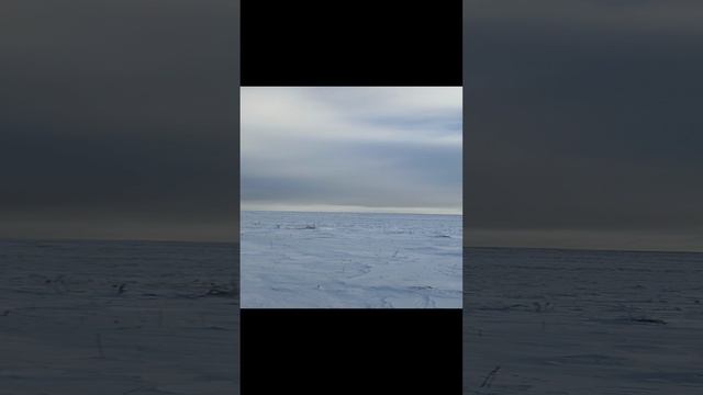 Проверка онлайн камеры в полевых условиях