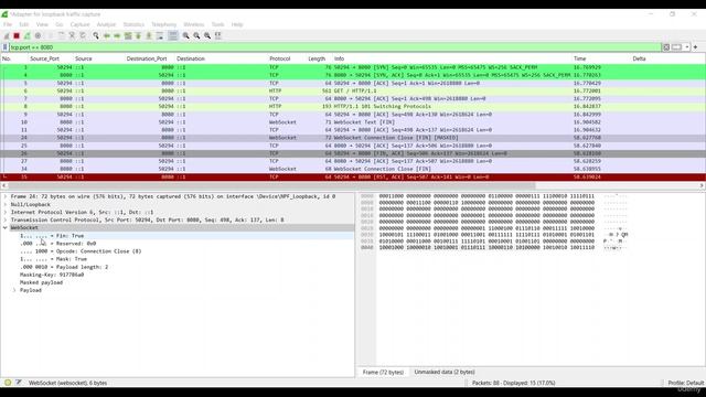 415. Examining a WebSocket closure frame - opcode 0x8