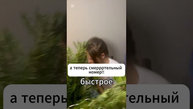 Письмо Санте