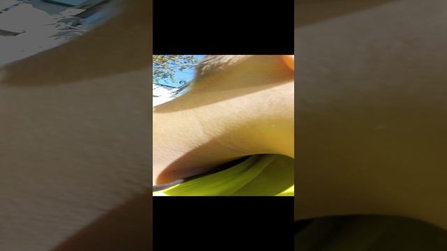 1000000318.mp4