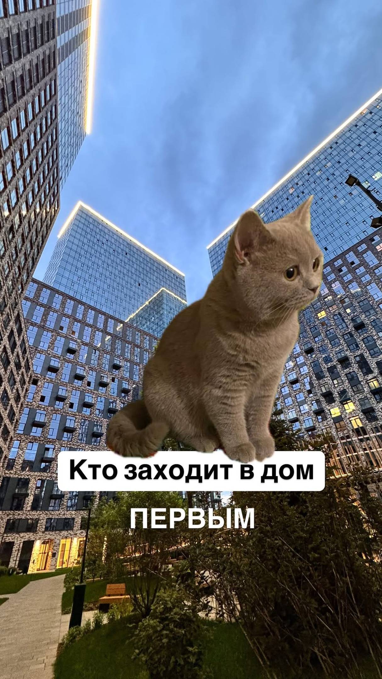 Итак, по-порядку: