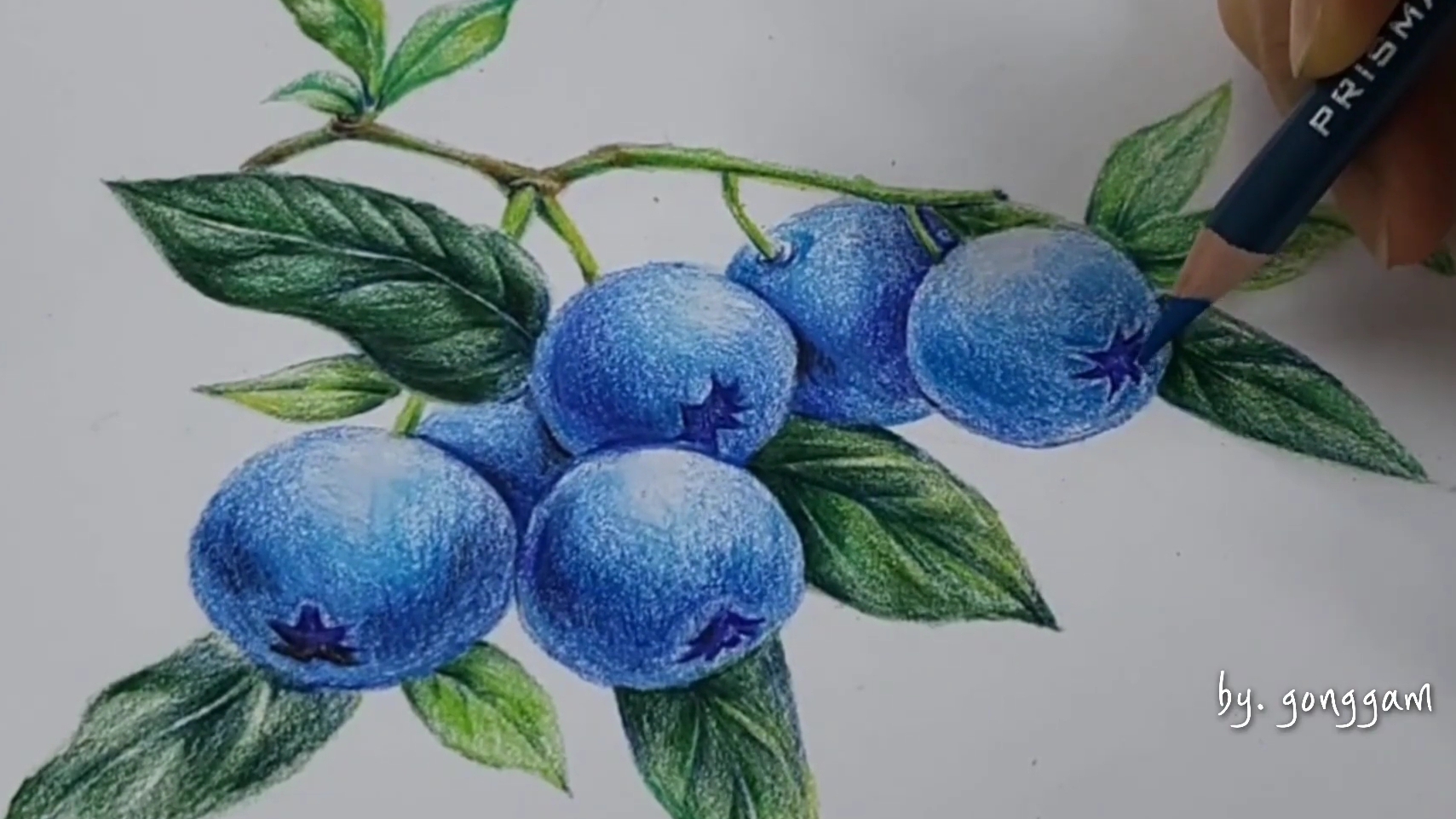 РИСУНОК ГОЛУБИКИ ЦВЕТНЫМИ КАРАНДАШАМИ