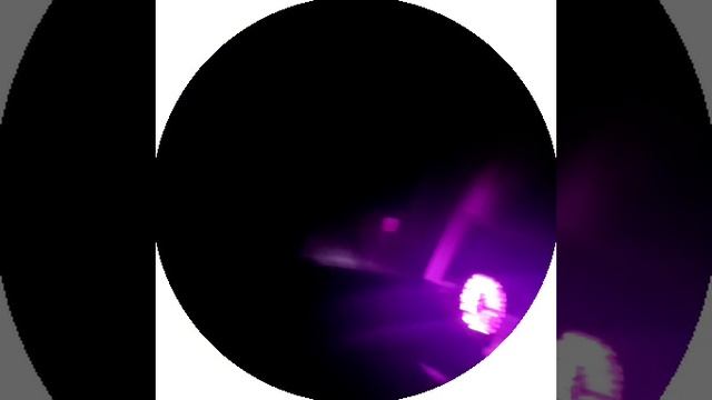 video_2024-12-14_21-49-49