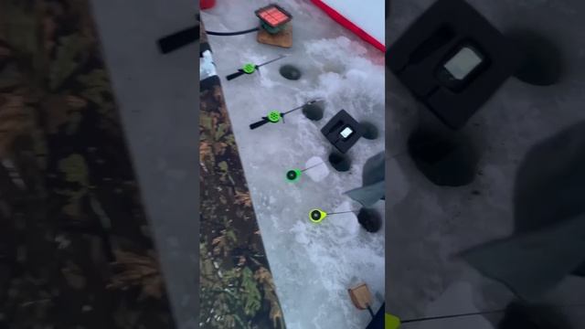1000023838.mp4