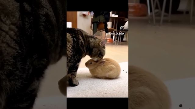 1000080190.mp4