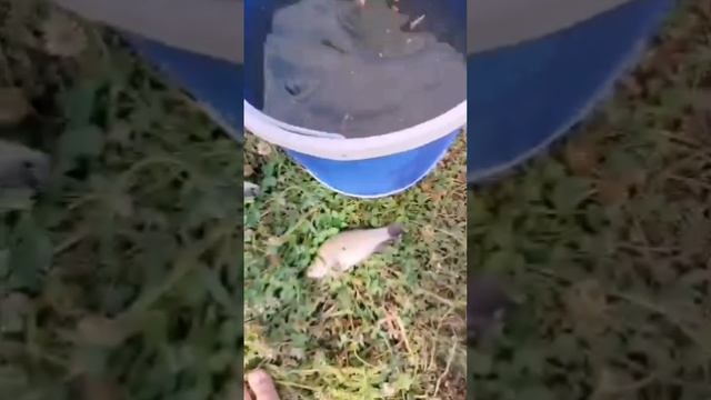 lv_0_20240807150604.mp4
