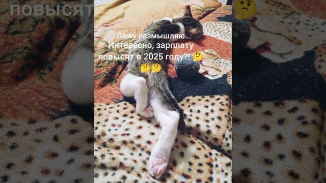 1000065392.mp4