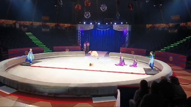 дорожка акробатическая - клип