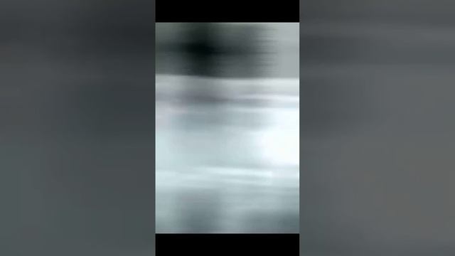 1000008078.mp4