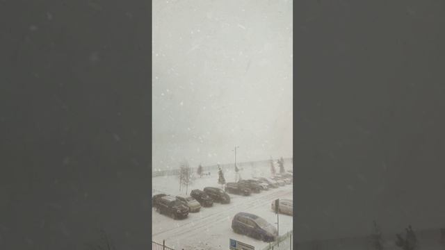 Снего-снегопад ❄️❄️❄️
