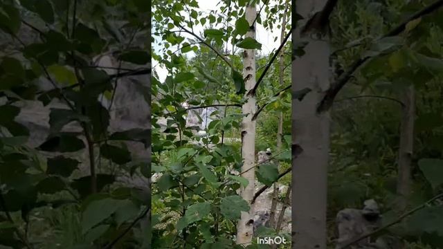 ПроПутешествия.Питер2024.Фильм11.Серия8.Часть2 .mp4